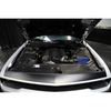 2015-2023 Dodge Challenger Carbon Fiber Side Engine Components (Pair)