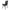 Photo - Unmounted